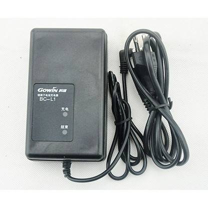 Image de Chargeur Gowin BC-L1